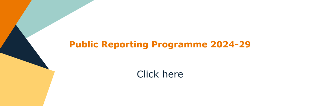 Public Reporting Programme 2024-29