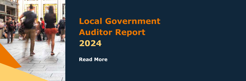 Local Government Auditor 2024